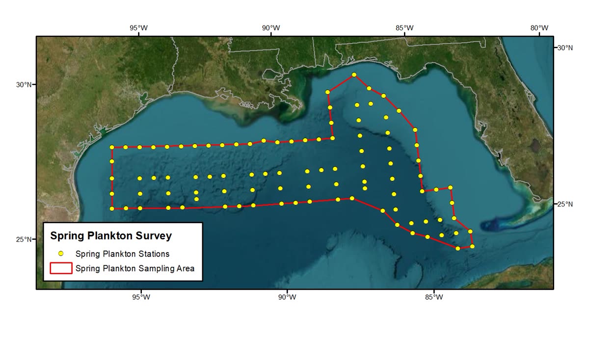 Spring Plankton Survey sampling area map