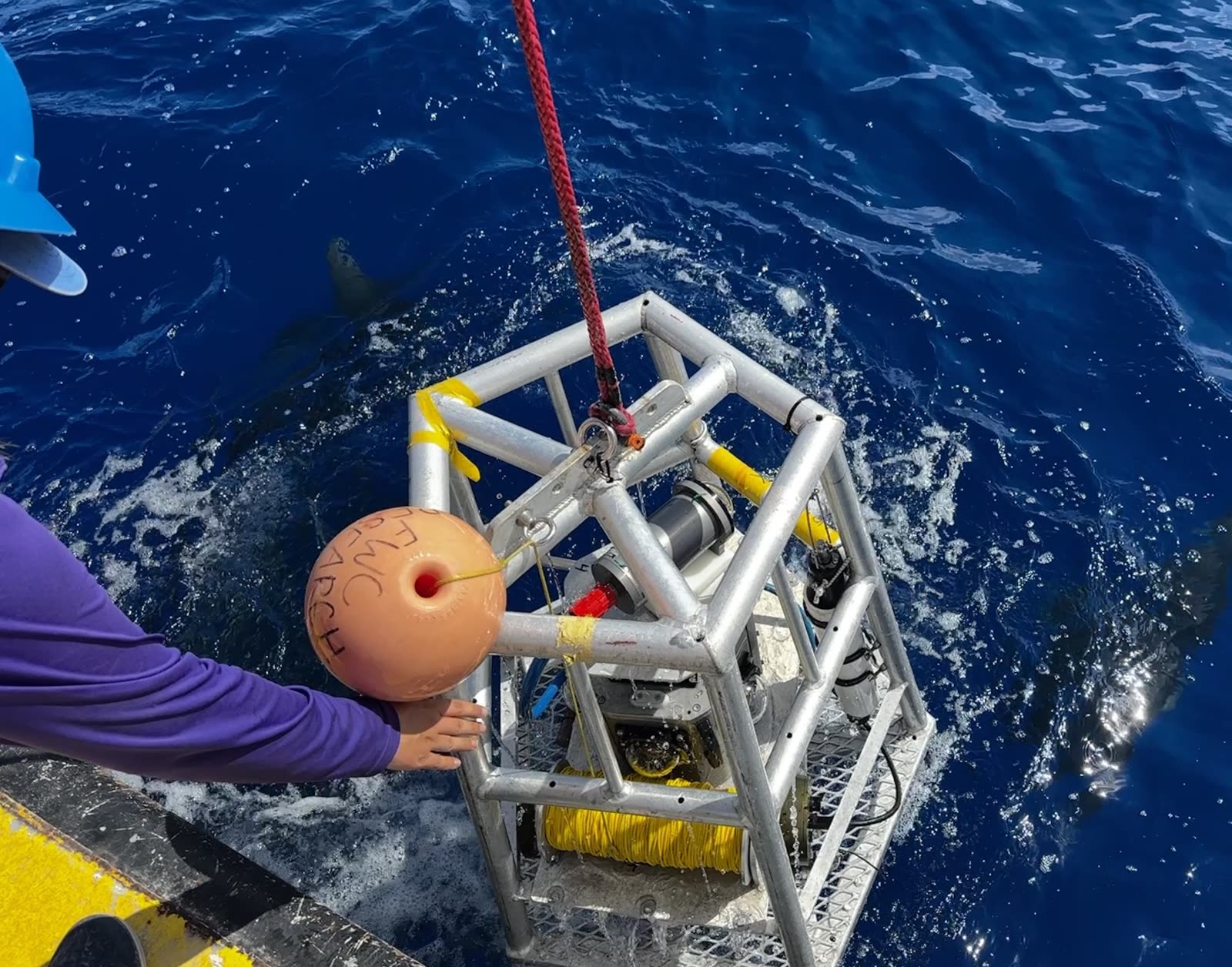 Four-camera reef fish survey array hardware